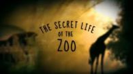 The Secret Life of the Z00 - Season 7