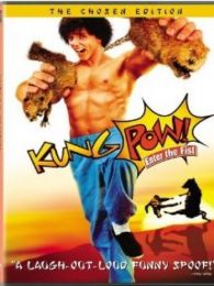 Kung Pow Enter The Fist