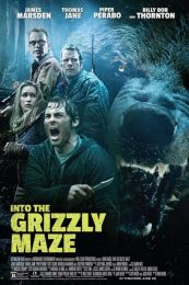 Into the Grizzly Maze