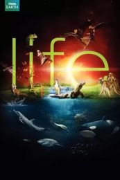 Life (2009) - Season 01