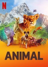 Animal - Season 2