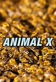 Animal X - Season 1