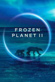 Frozen Planet II - Season 1