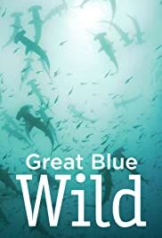 Great Blue Wild - Season 2