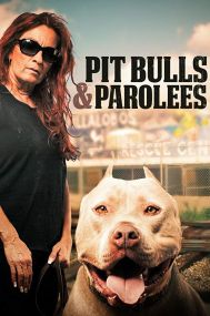Pit Bulls and Parolees - Season 13