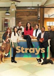 Strays - Season 2