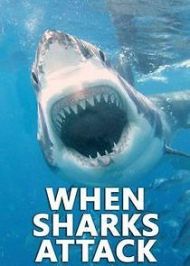 When Sharks Attack - Season 8