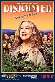 Disjointed (2017)
