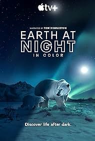 Earth at Night in Color (2020)
