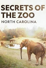 Secrets of the Zoo: North Carolina (2020)
