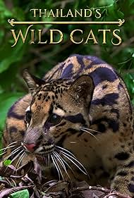 Thailand's Wild Cats (2021)