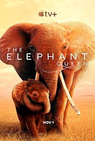 The Elephant Queen (2019)