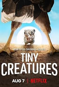 Tiny Creatures (2020)