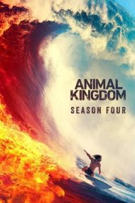 Animal Kingdom - Season 4